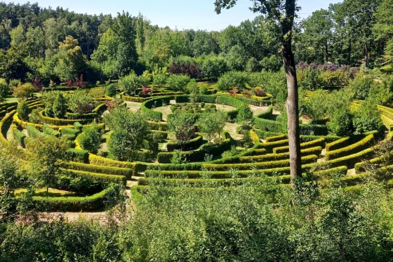 Święto Wojska Polskiego i Wniebowzięcie NMP w Arboretum Bramy Morawskiej